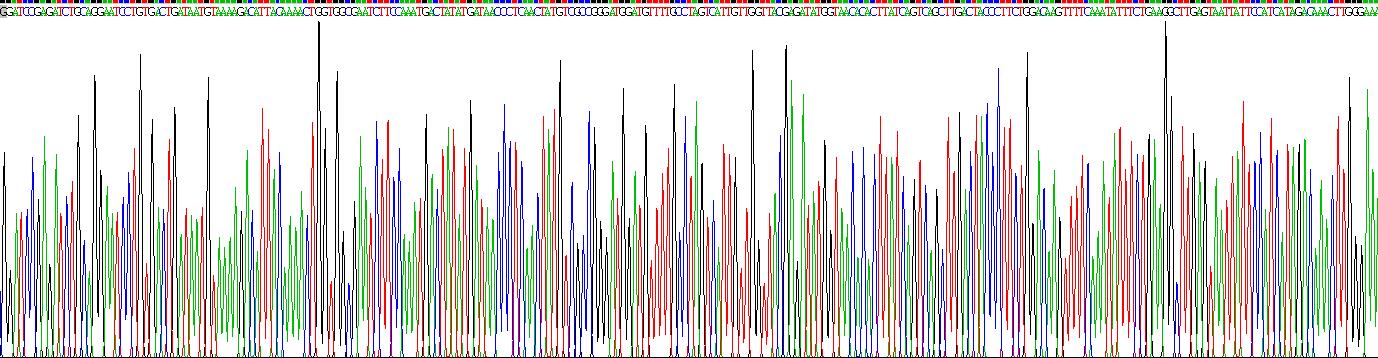 Recombinant Stem Cell Factor (SCF)