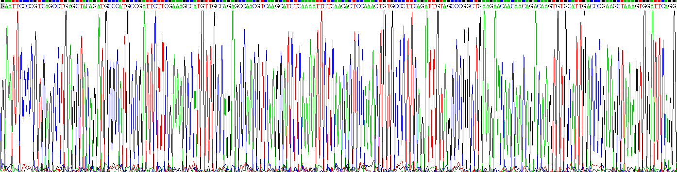 Recombinant Stromal Cell Derived Factor 1 (SDF1)