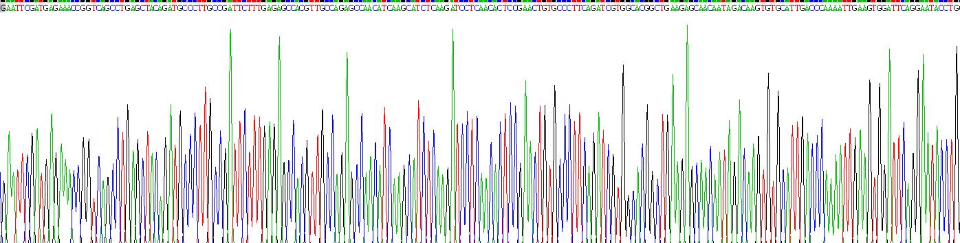 Recombinant Stromal Cell Derived Factor 1 (SDF1)