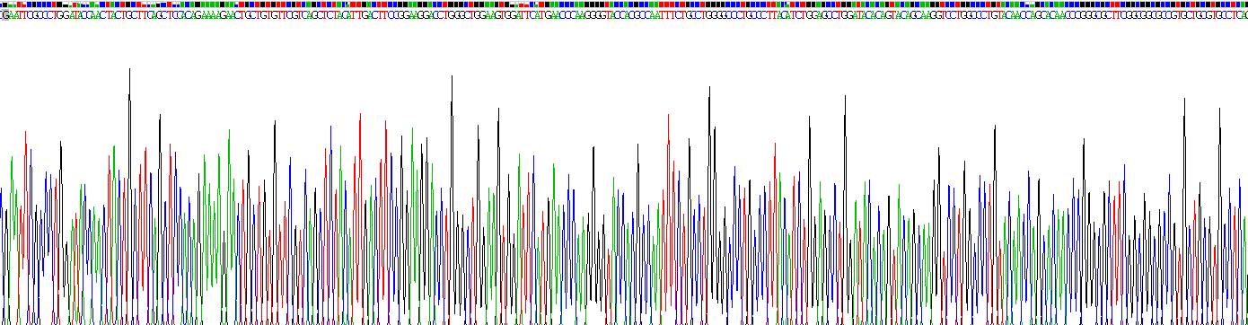 Recombinant Transforming Growth Factor Beta 1 (TGFb1)