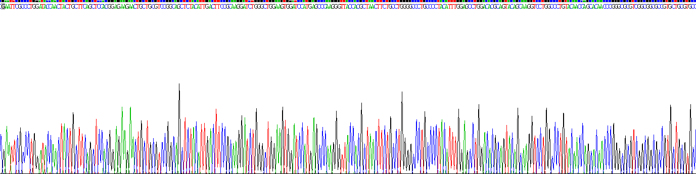 Recombinant Transforming Growth Factor Beta 1 (TGFb1)