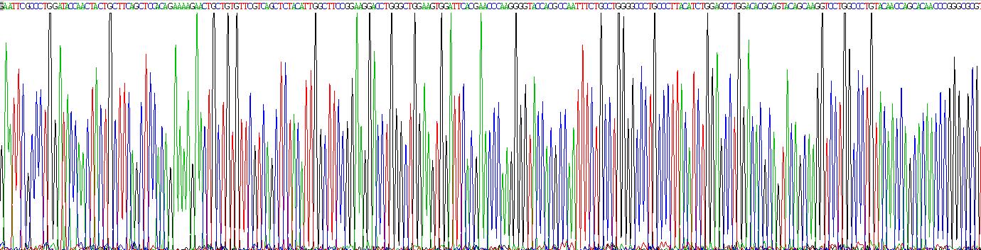 Recombinant Transforming Growth Factor Beta 1 (TGFb1)