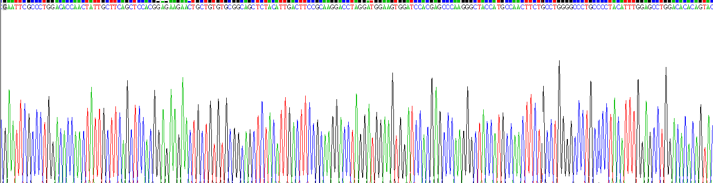 Recombinant Transforming Growth Factor Beta 1 (TGFb1)