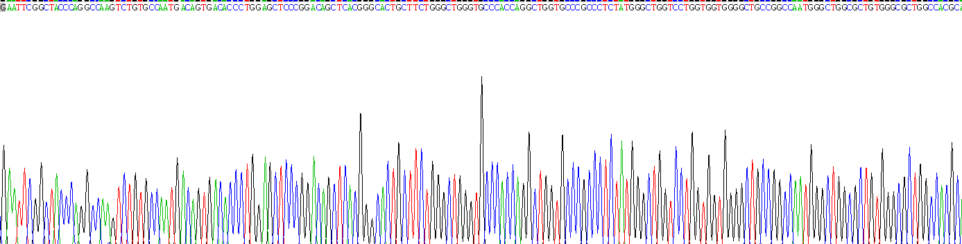 Recombinant Protease Activated Receptor 4 (PAR4)