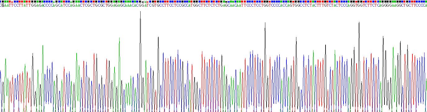 Recombinant Tumor Necrosis Factor Beta (TNFb)