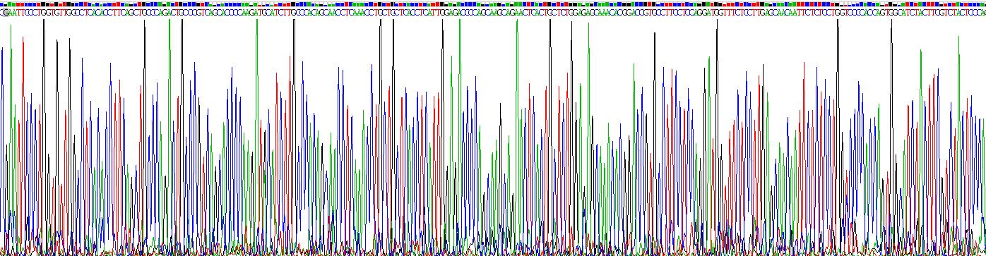 Recombinant Tumor Necrosis Factor Beta (TNFb)