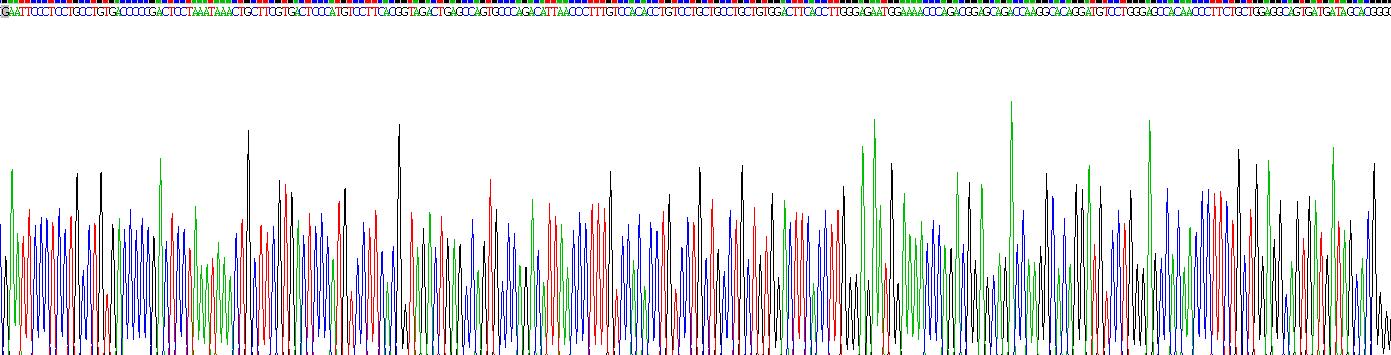 Recombinant Thrombopoietin (TPO)