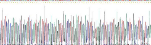 Recombinant Tumor Necrosis Factor Related Apoptosis Inducing Ligand (TRAIL)