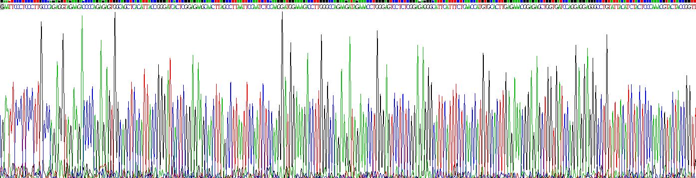 Recombinant Tumor Necrosis Factor Related Apoptosis Inducing Ligand (TRAIL)