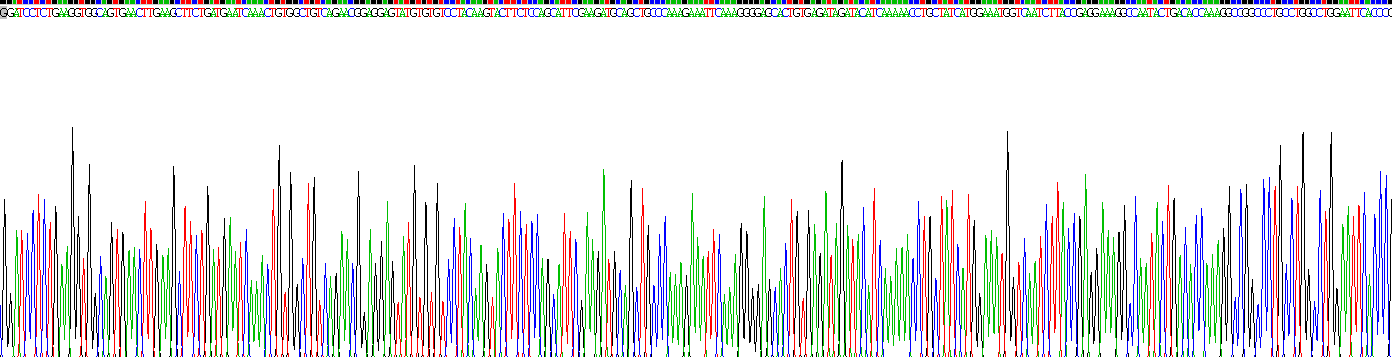 Recombinant Plasminogen Activator, Urokinase (uPA)