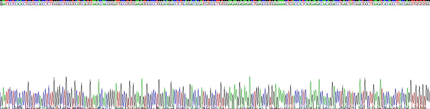 Recombinant Plasminogen Activator, Urokinase Receptor (uPAR)