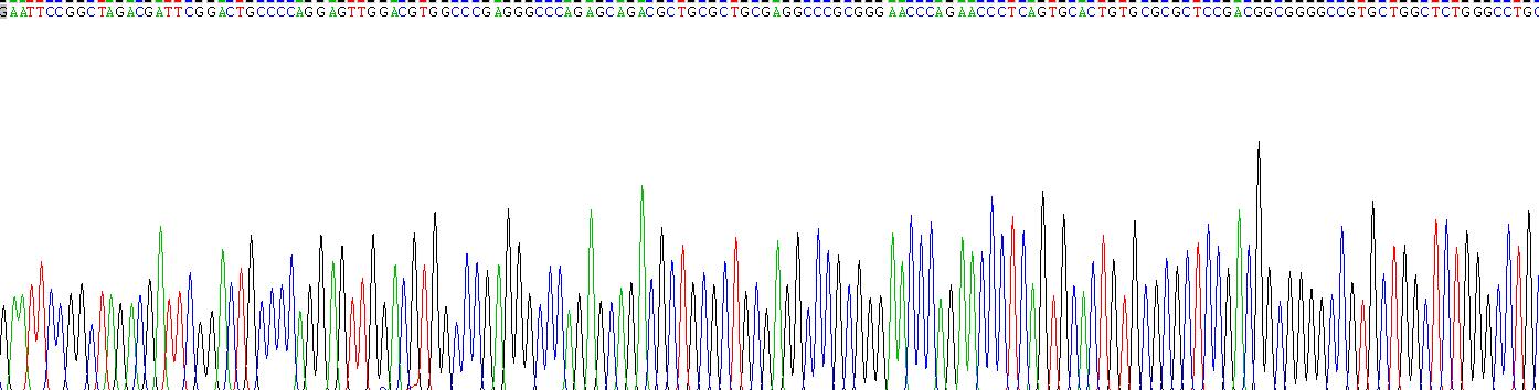 Recombinant Intercellular Adhesion Molecule 5 (ICAM5)