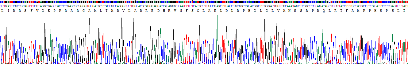 Recombinant Intercellular Adhesion Molecule 5 (ICAM5)