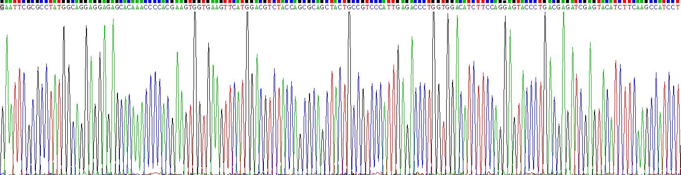 Recombinant Vascular Endothelial Growth Factor A (VEGFA)