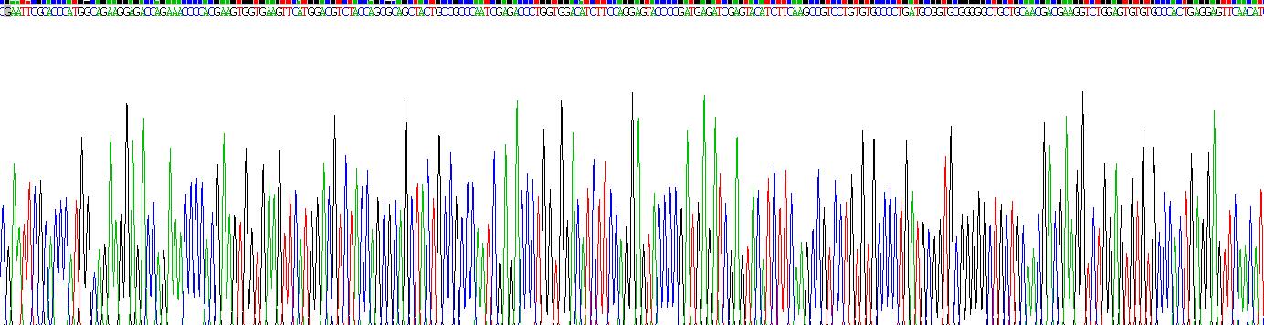 Recombinant Vascular Endothelial Growth Factor A (VEGFA)