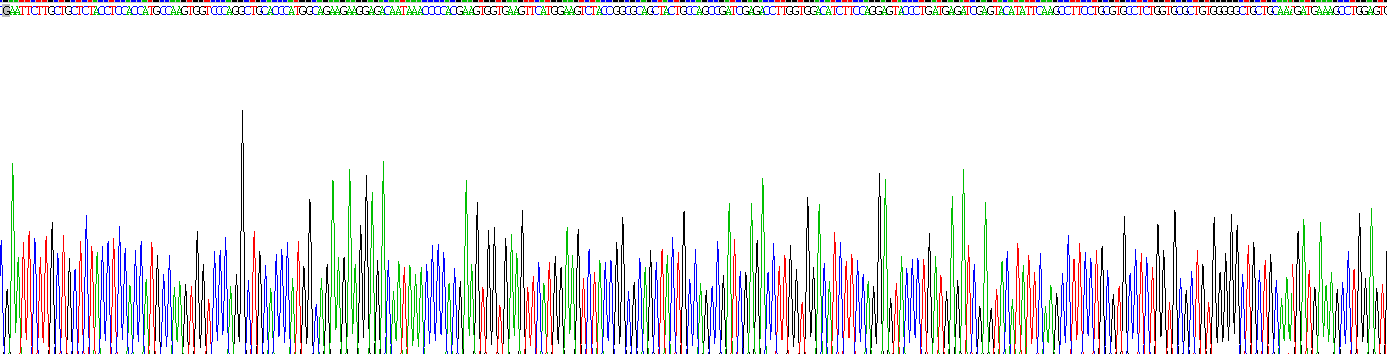 Recombinant Vascular Endothelial Growth Factor A (VEGFA)