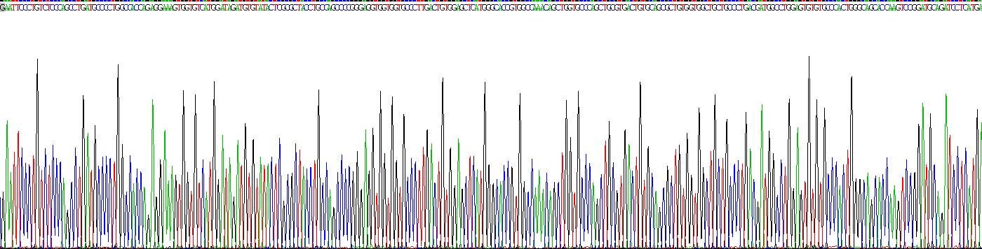 Recombinant Vascular Endothelial Growth Factor B (VEGFB)