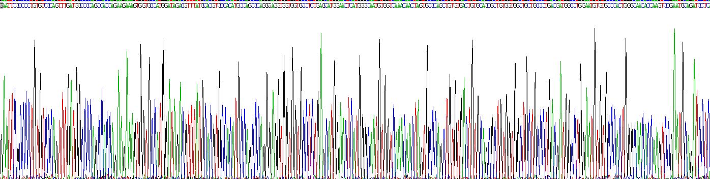 Recombinant Vascular Endothelial Growth Factor B (VEGFB)