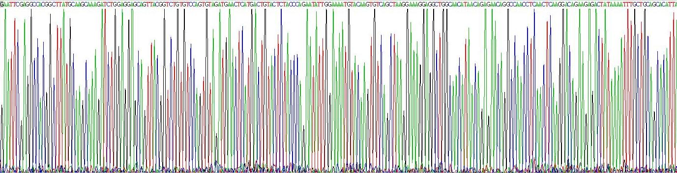 Recombinant Vascular Endothelial Growth Factor C (VEGFC)