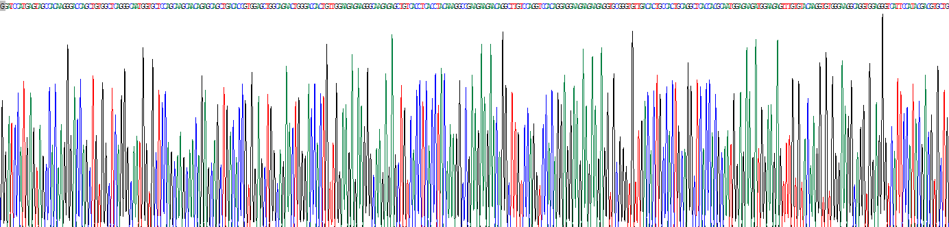 Recombinant Adiponectin Receptor 1 (ADIPOR1)