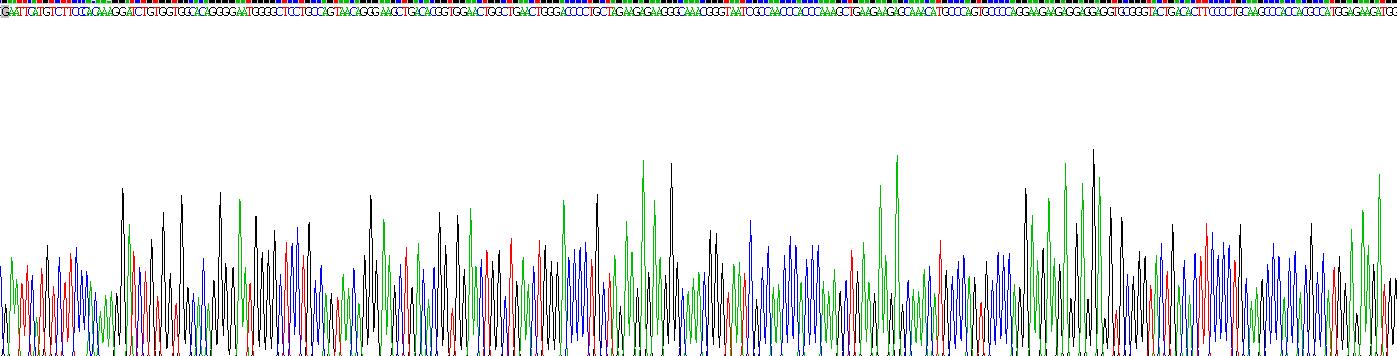 Recombinant Adiponectin Receptor 1 (ADIPOR1)