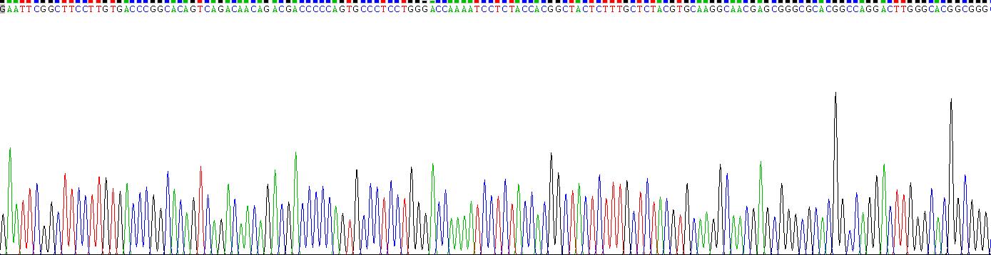 Recombinant Collagen Type IV Alpha 1 (COL4a1)