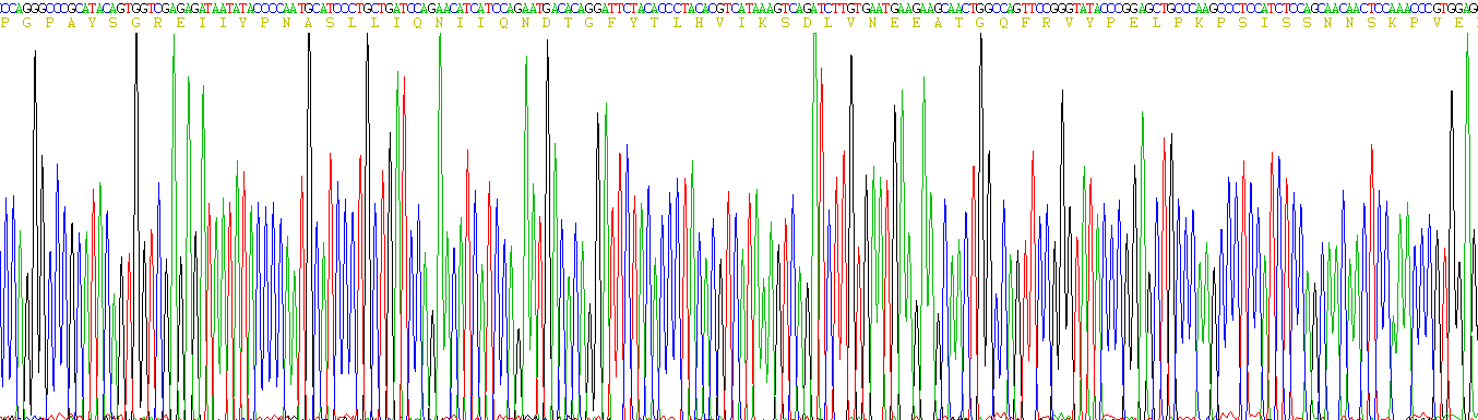 Recombinant Carcinoembryonic Antigen (CEA)