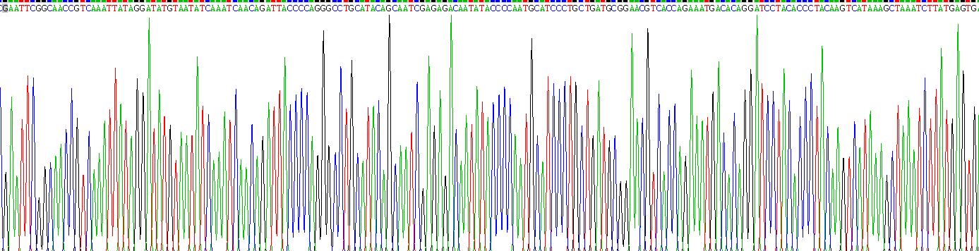 Recombinant Carcinoembryonic Antigen (CEA)