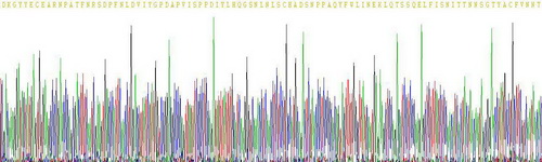 Recombinant Carcinoembryonic Antigen (CEA)