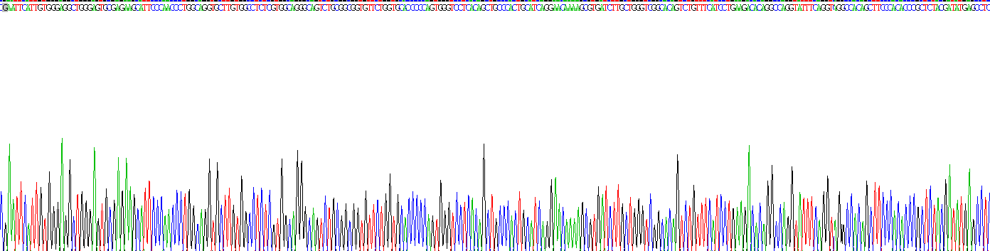 Recombinant Prostate Specific Antigen (PSA)