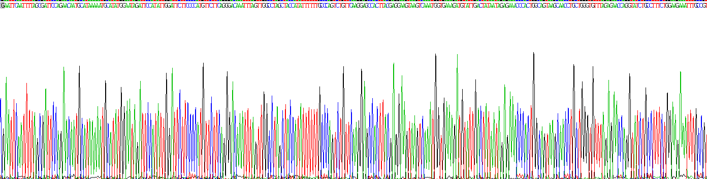 Recombinant Alpha-Fetoprotein (AFP)