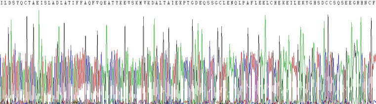 Recombinant Alpha-Fetoprotein (AFP)