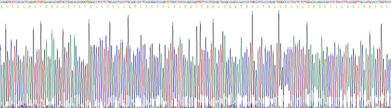 Recombinant Carbohydrate Antigen 125 (CA125)