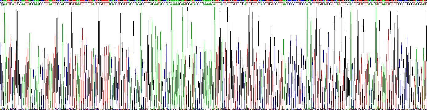 Recombinant Gibberellin Regulated Protein 1 (GASA1)