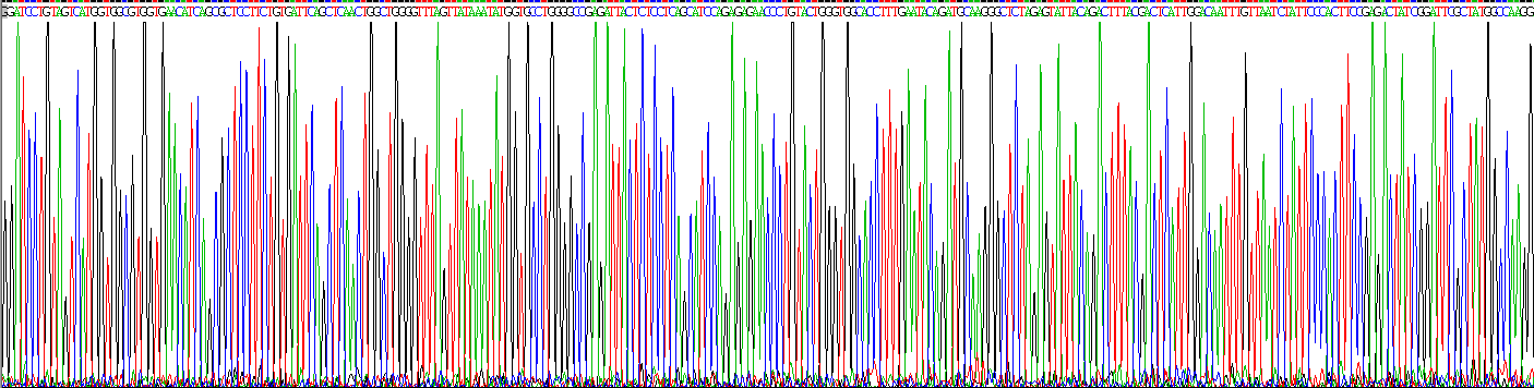 Recombinant Olfactomedin 4 (OLFM4)