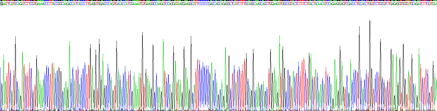 Recombinant Ubiquitin (Ub)