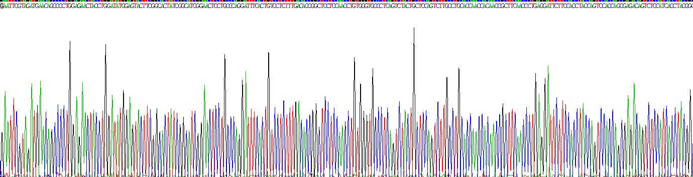 Recombinant Pepsinogen A (PGA)