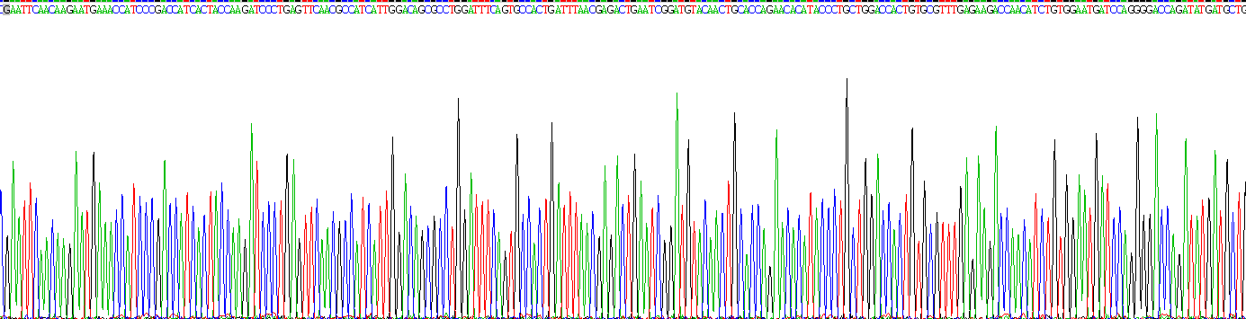 Recombinant Meprin A Alpha (MEP1a)