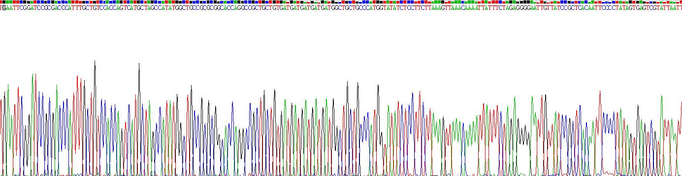 Recombinant Fatty Acid Binding Protein 8, Myelin (FABP8)