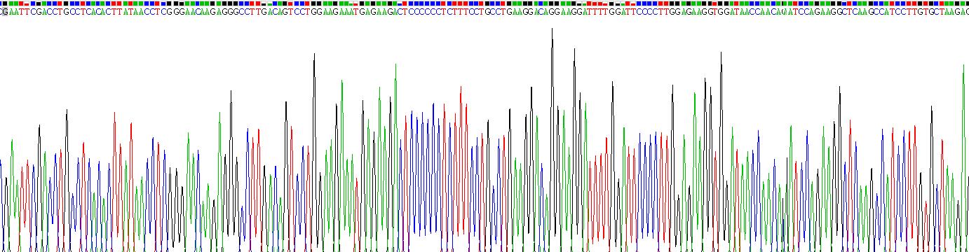 Recombinant Interferon Alpha 4 (IFNa4)