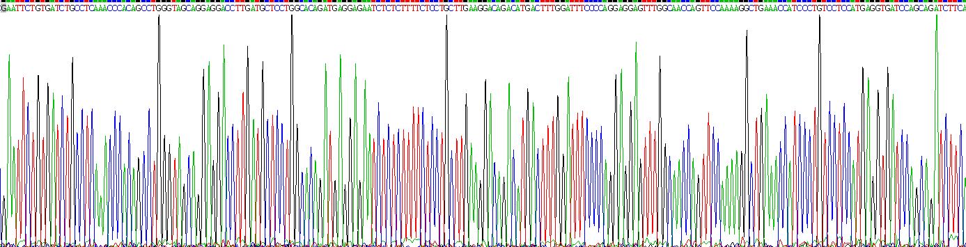 Recombinant Interferon Alpha 2 (IFNa2)