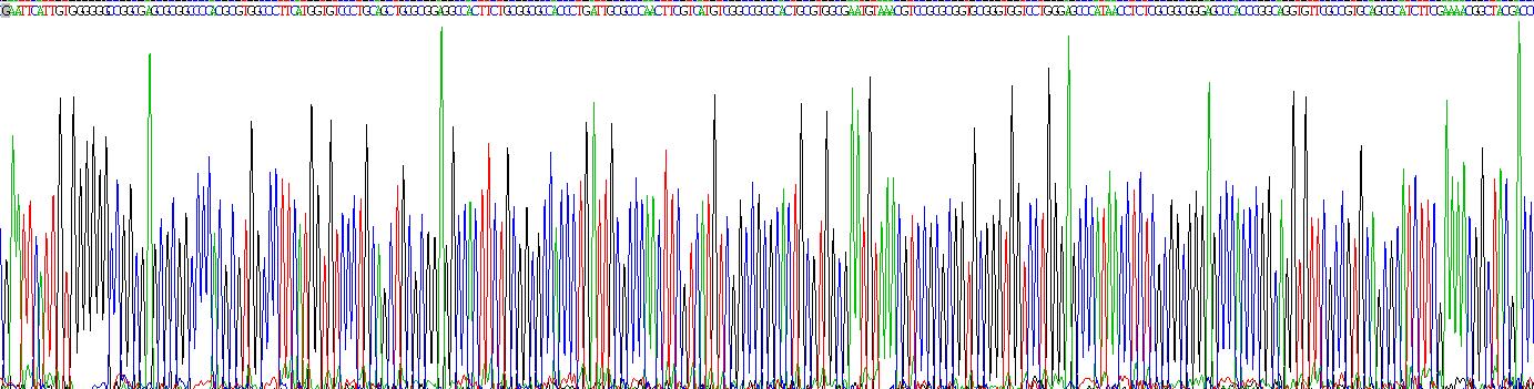 Recombinant Neutrophil Elastase (NE)