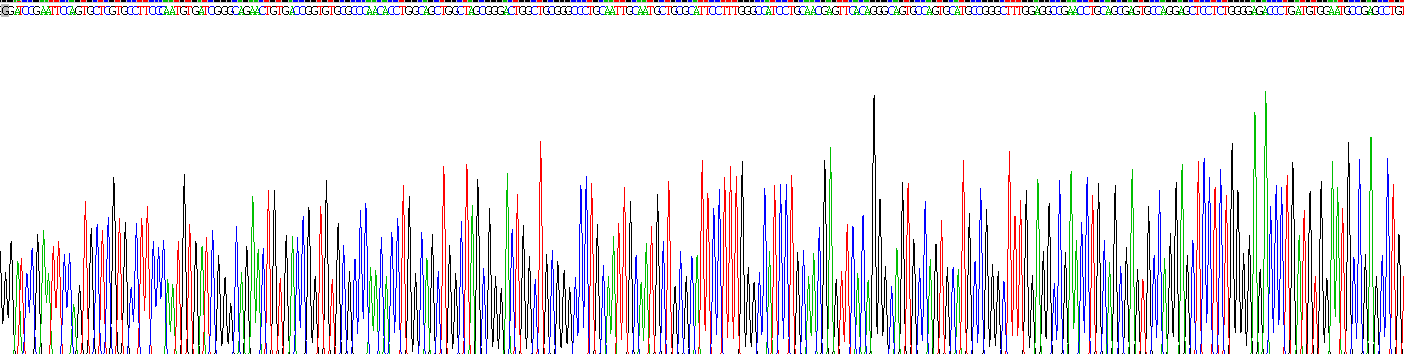 Recombinant Laminin Beta 1 (LAMb1)