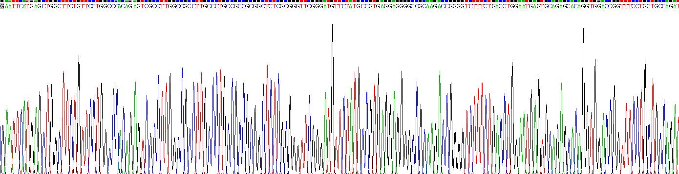 Recombinant Ribonuclease H (RNASEH)