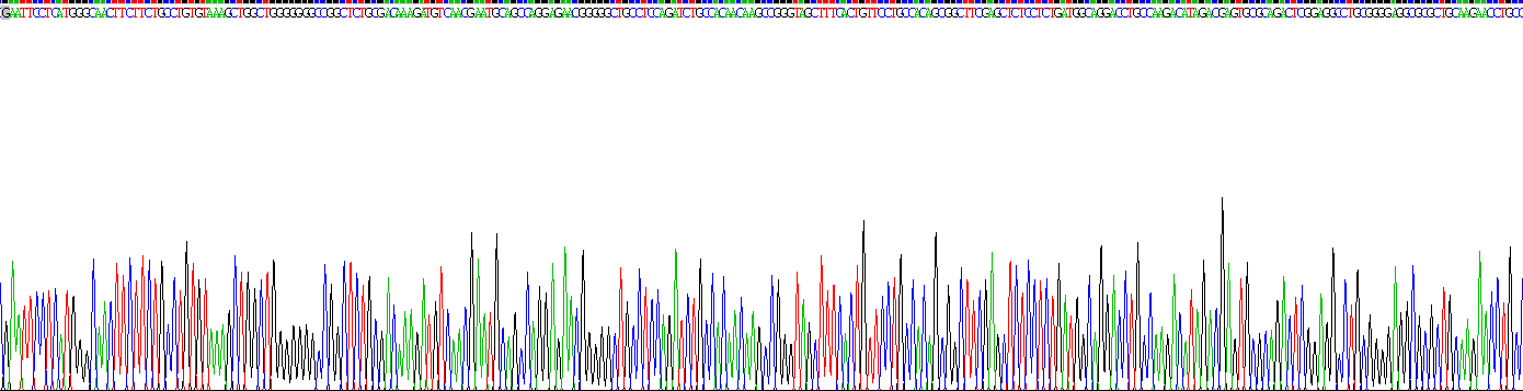 Recombinant Growth Arrest Specific Protein 6 (GAS6)