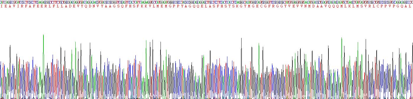 Recombinant Alanine Aminotransferase (ALT)