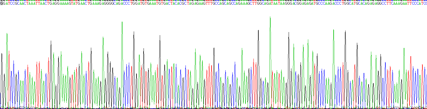 Recombinant Triggering Receptor Expressed On Myeloid Cells 1 (TREM1)