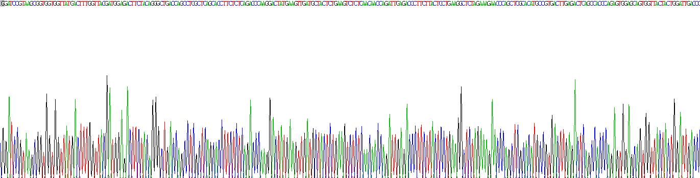 Recombinant Collagen Type I Alpha 2 (COL1a2)