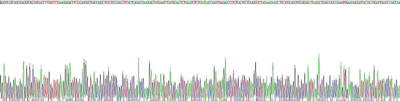 Recombinant Collagen Type I Alpha 2 (COL1a2)