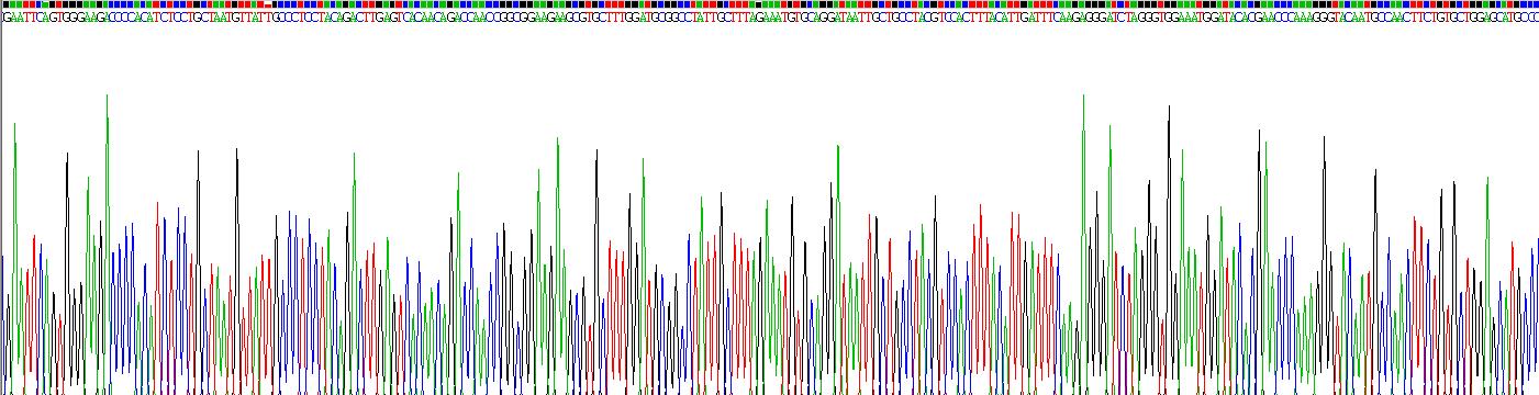 Recombinant Transforming Growth Factor Beta 2 (TGFb2)